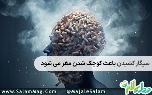 عوارض سیگار کشیدن بر مغز انسان