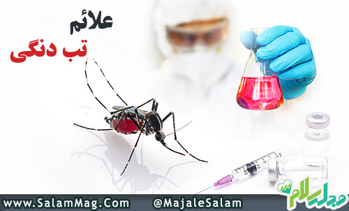 تب دنگی چیست؟ علائم، راه های انتقال، تشخیص و درمان | مجله پزشکی سلام